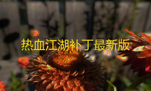 暗区突围辅助发卡网热血江湖补丁最新版